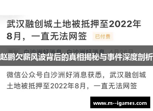 赵鹏欠薪风波背后的真相揭秘与事件深度剖析 赵鹏欠薪风波背后的真相揭秘与事件深度剖析