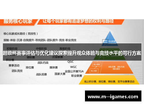 超级杯赛事评估与优化建议探索提升观众体验与竞技水平的可行方案