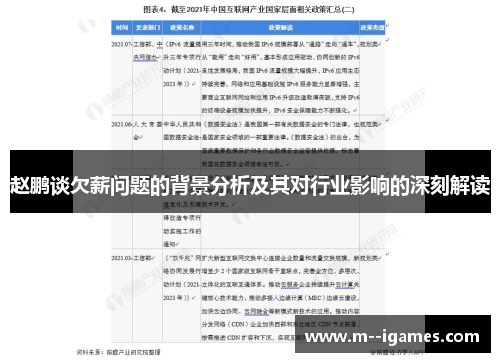 赵鹏谈欠薪问题的背景分析及其对行业影响的深刻解读