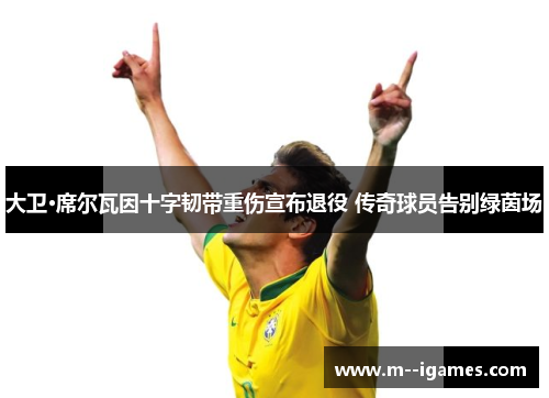 大卫·席尔瓦因十字韧带重伤宣布退役 传奇球员告别绿茵场 大卫·席尔瓦因十字韧带重伤宣布退役 传奇球员告别绿茵场
